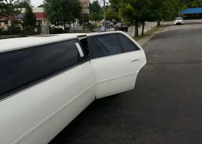 Professional Limo Services
